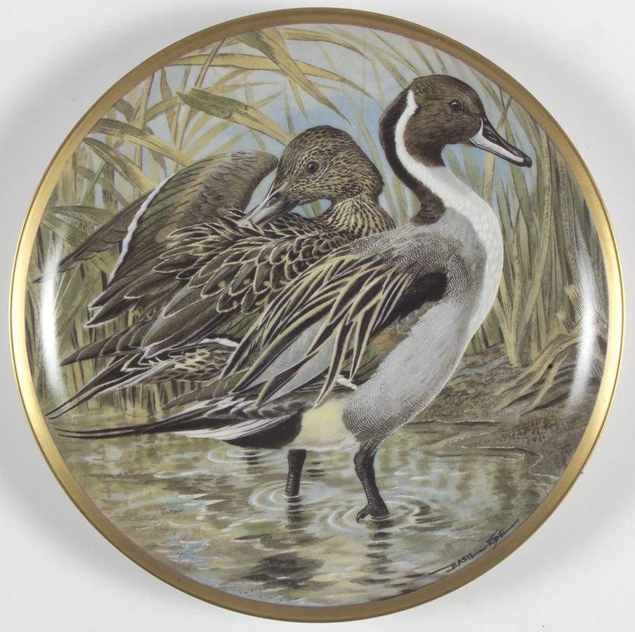 Water Birds of the World Pintail-Anas Acuta - No Box by Franklin Mint-1
