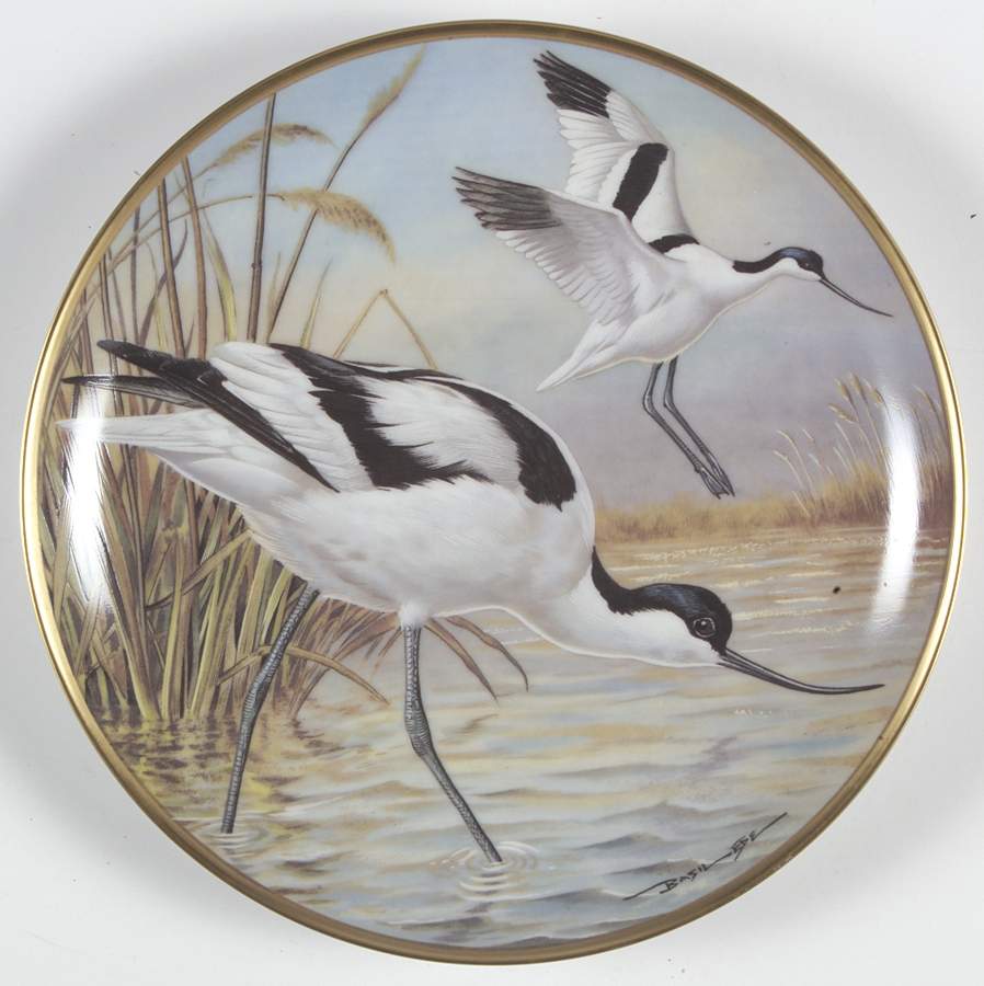 Water Birds of the World Avocet-Recurvirostra  Avosetta - No Box by Franklin Mint-1