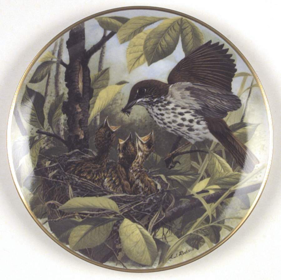 Birds of The Country Woodthrush-Feeding Time - No Box by Franklin Mint-1