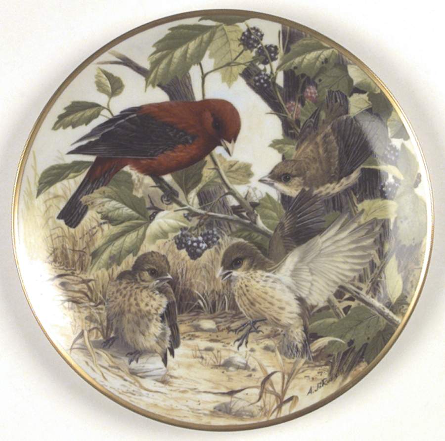 Birds of The Country Scarlet Tanager-Learning To Fly - No Box by Franklin Mint-1