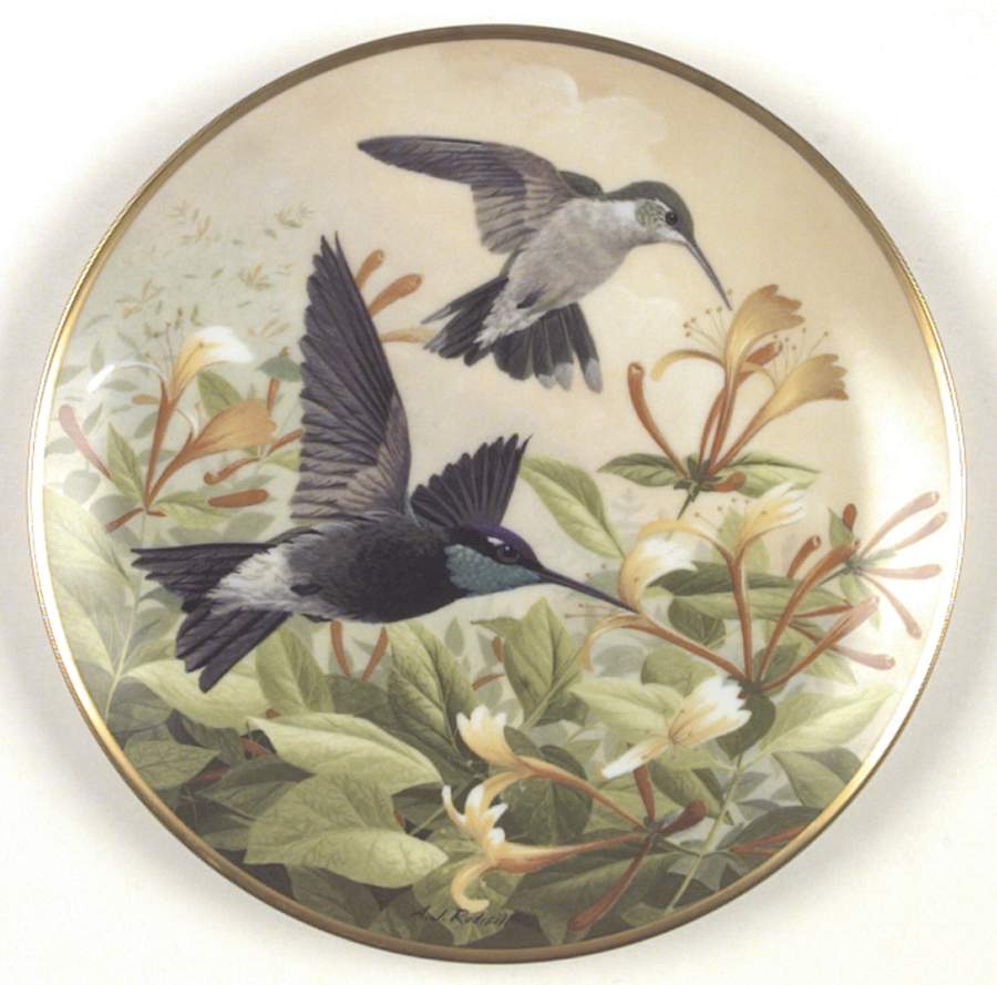 Birds of The Country Rivoli's Hummingbird-Drinking Nectar - No Box by Franklin Mint-1