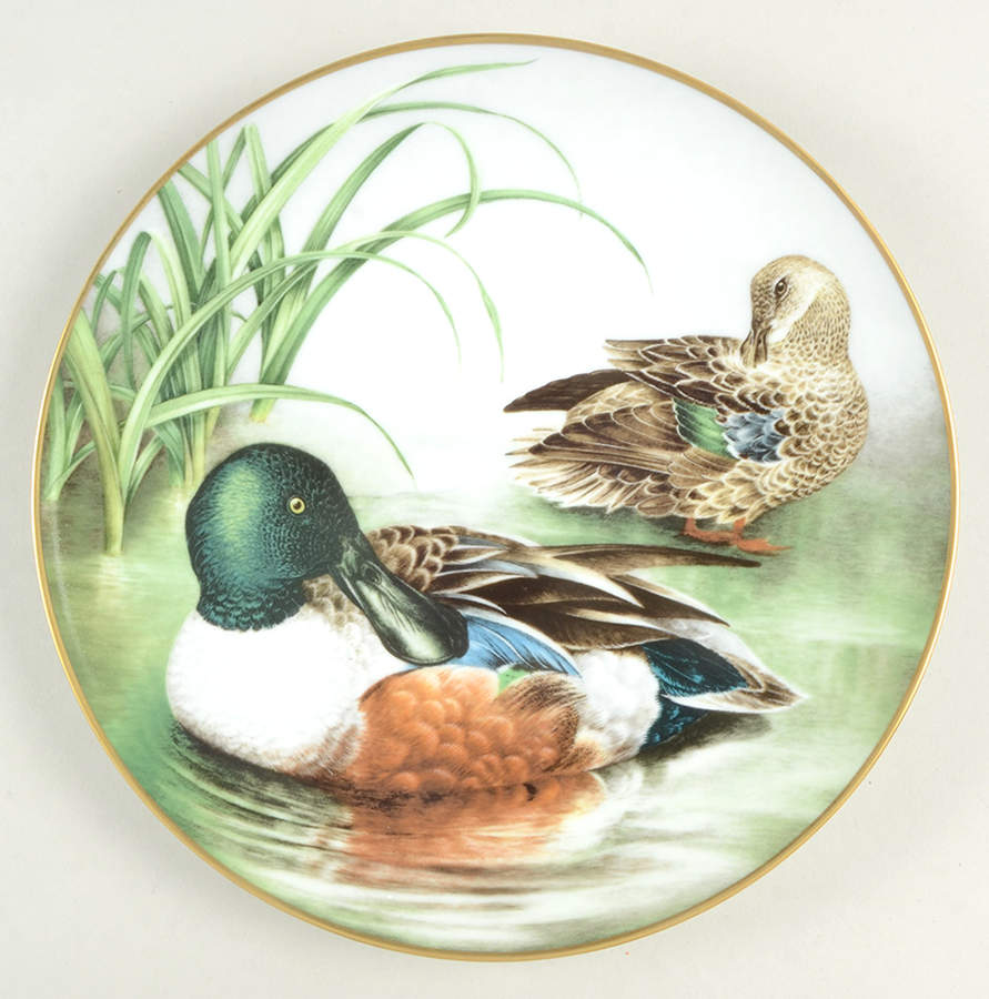Wild Birds of the World Northern Shoveler - No Box by Franklin Mint-1