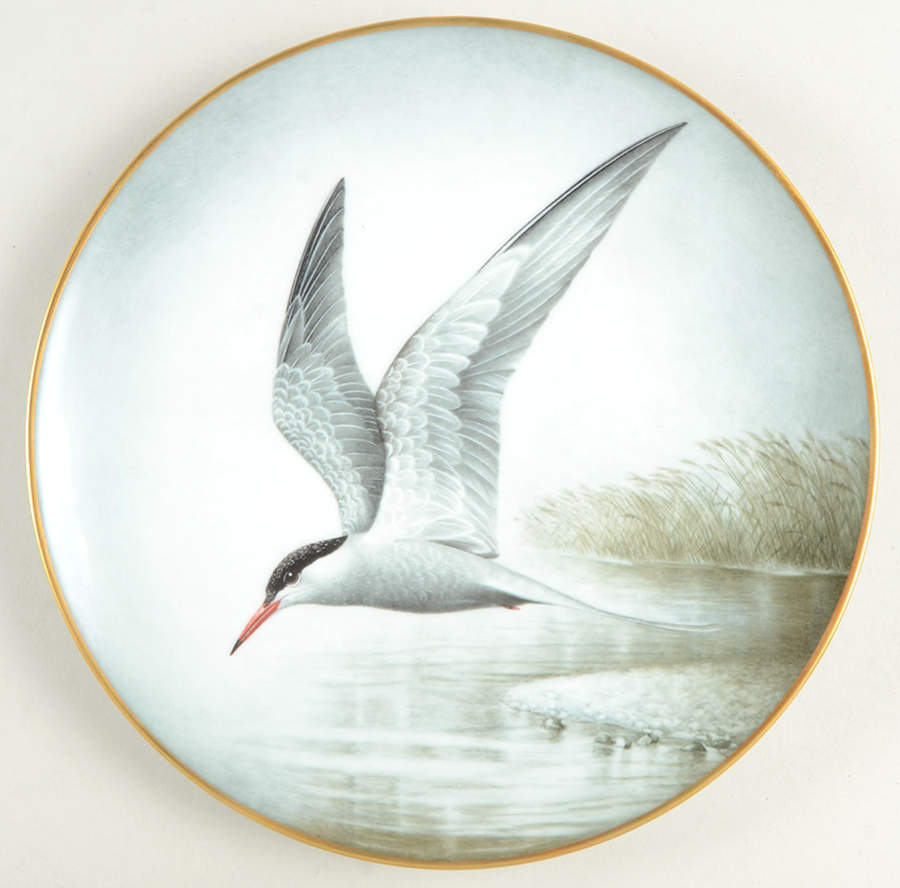Wild Birds of the World Common Tern - No Box by Franklin Mint-1