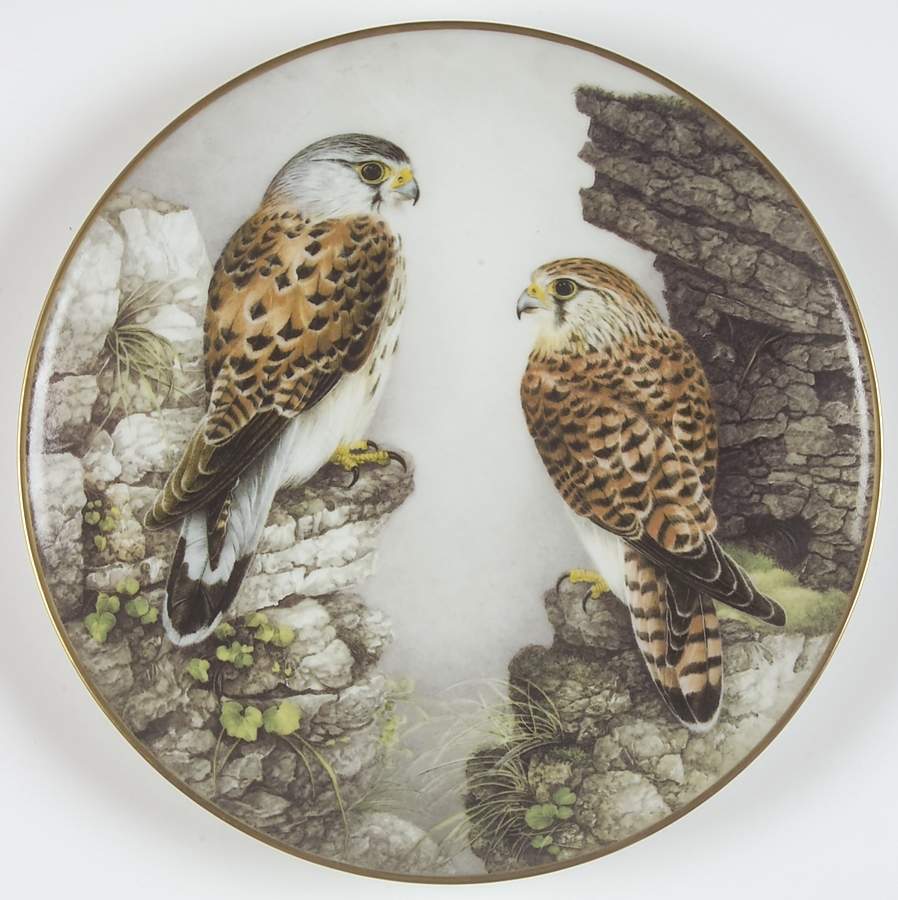 Wild Birds of the World Old World Kestrel  - No Box by Franklin Mint-1