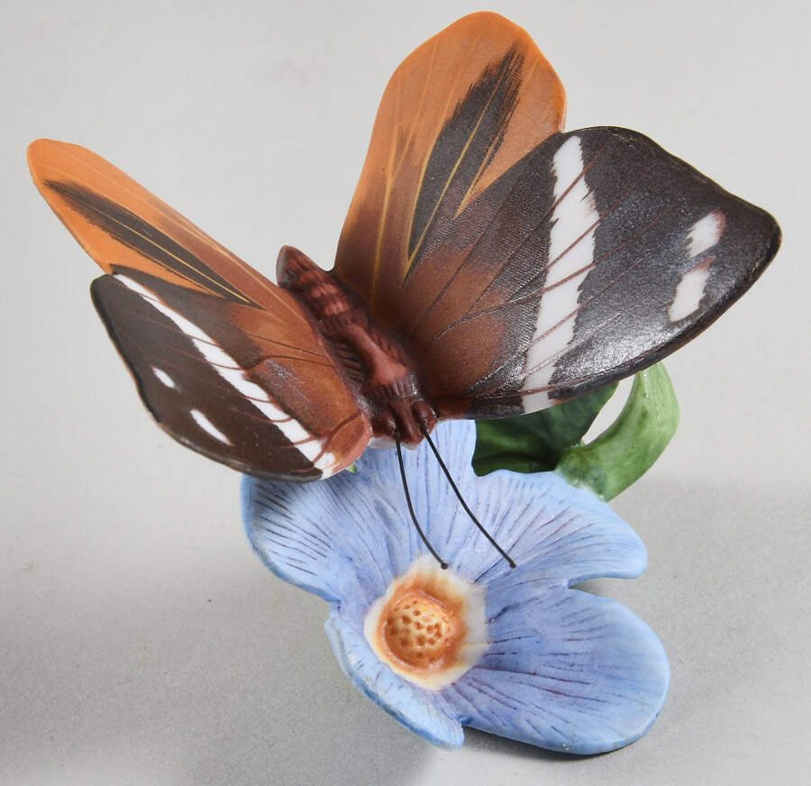Butterflies of The World  Tufted Jungle King-Skyvine - With Box by Franklin Mint-1