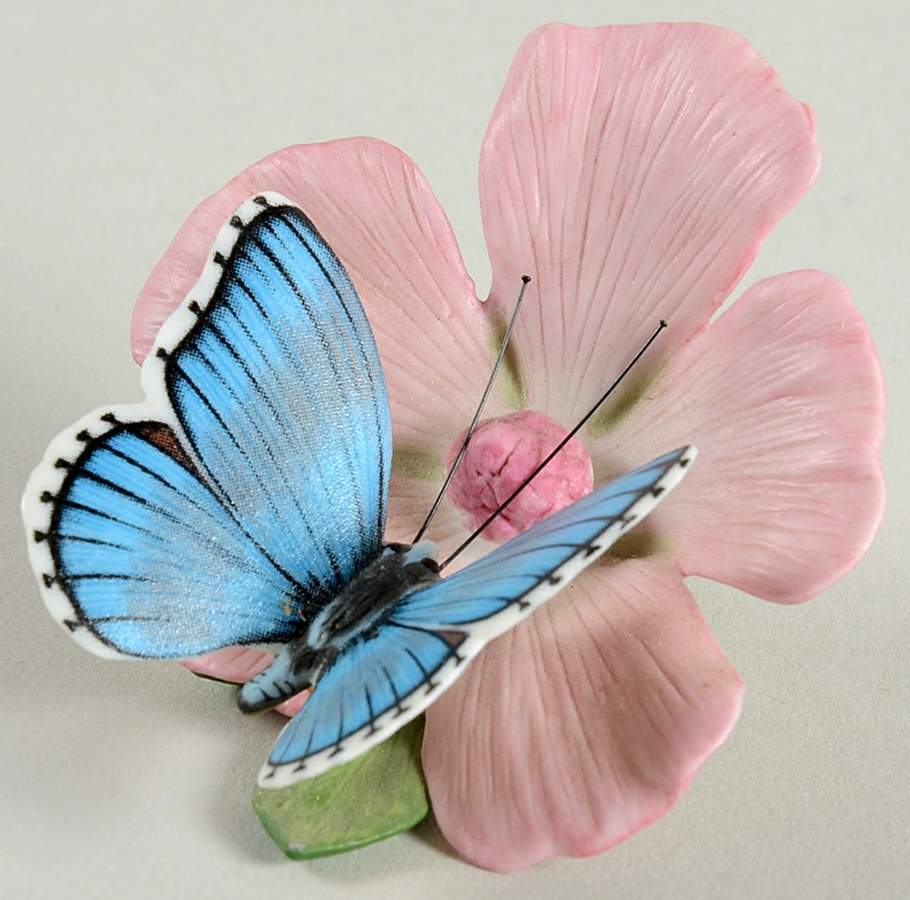 Butterflies of The World  Adonis Blue-Musk Mallow - No Box by Franklin Mint-1