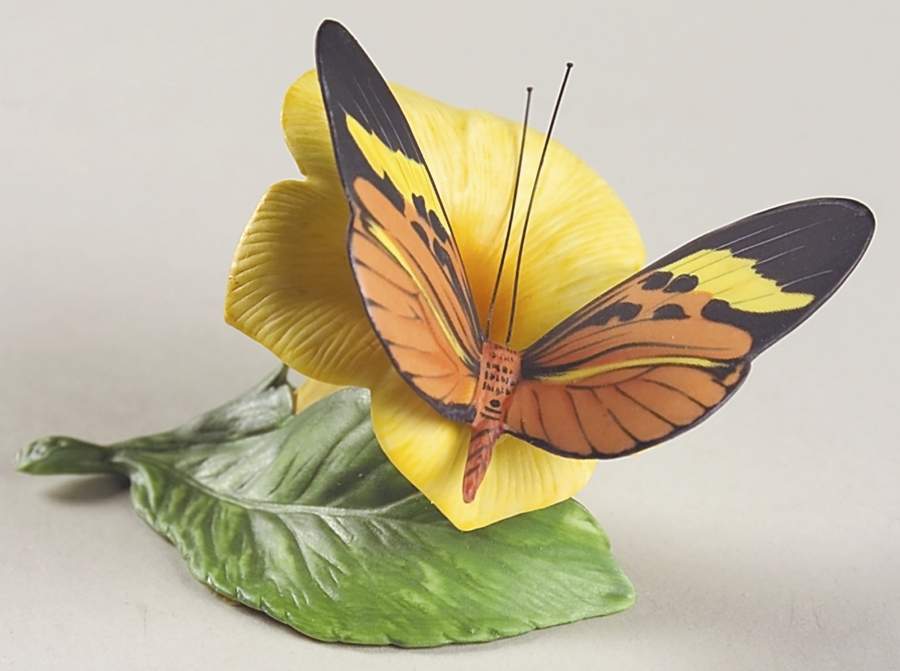 Butterflies of The World  Glassy Wing And Golden Trumpet - Boxed by Franklin Mint-1