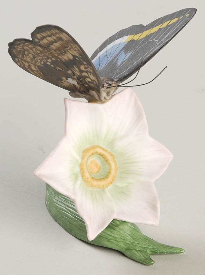 Butterflies of The World  Owl Butterfly-Rain Lily - Boxed by Franklin Mint-1