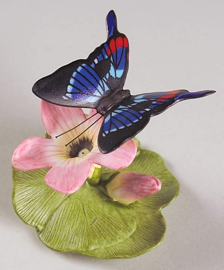 Butterflies of The World  Blue Doctor-Oxalis - No Box by Franklin Mint-1