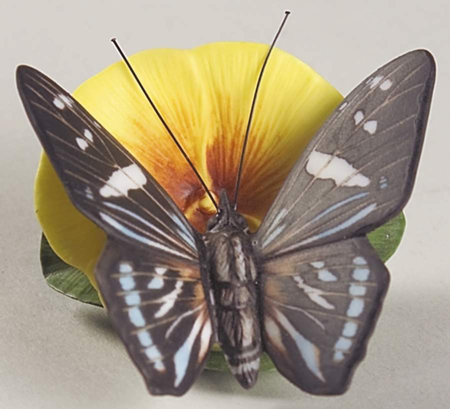 Butterflies of The World  Mangrove Skipper-Water Poppy - Boxed by Franklin Mint-1
