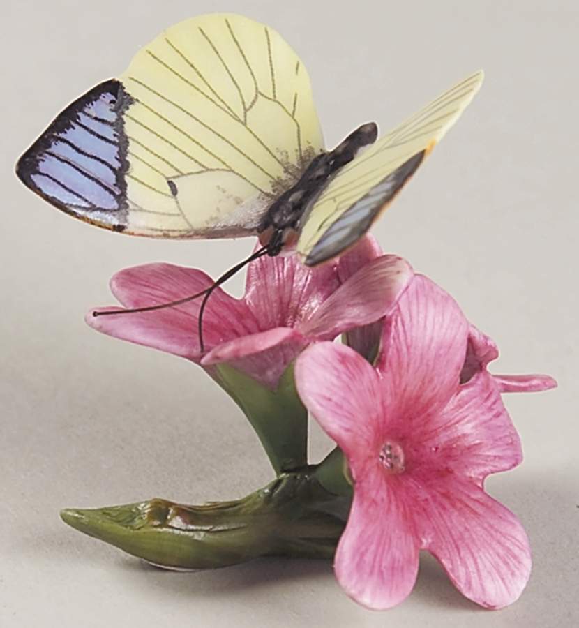 Butterflies of The World  Queen Purple Tip-Watsonia - No Box by Franklin Mint-1