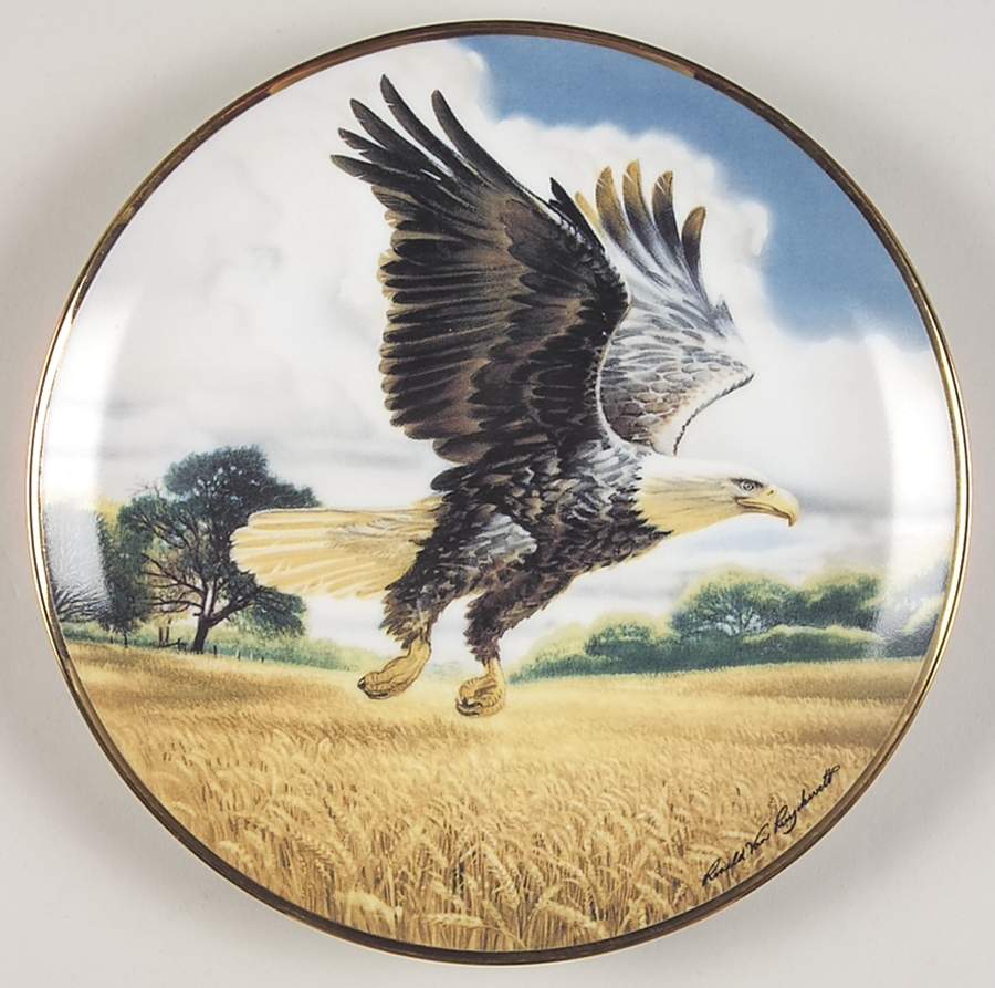 Ronald Van Ruyckevelt Eagle Amber Waves Of Grain - No Box by Franklin Mint-1