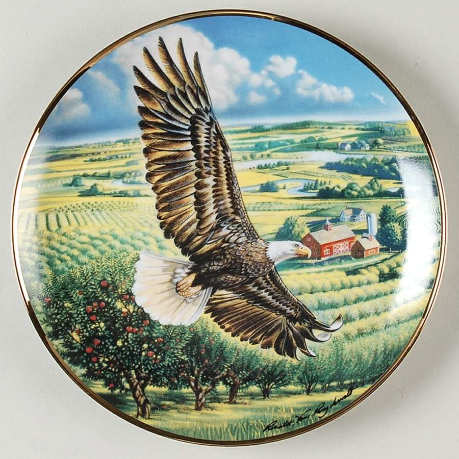 Ronald Van Ruyckevelt Eagle Above The Fruited Plains - No Box by Franklin Mint-1