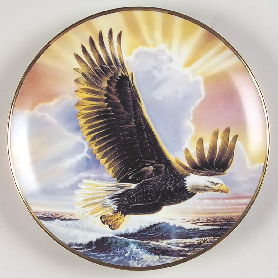 Ronald Van Ruyckevelt Eagle Wings Of Majesty - No Box by Franklin Mint-1
