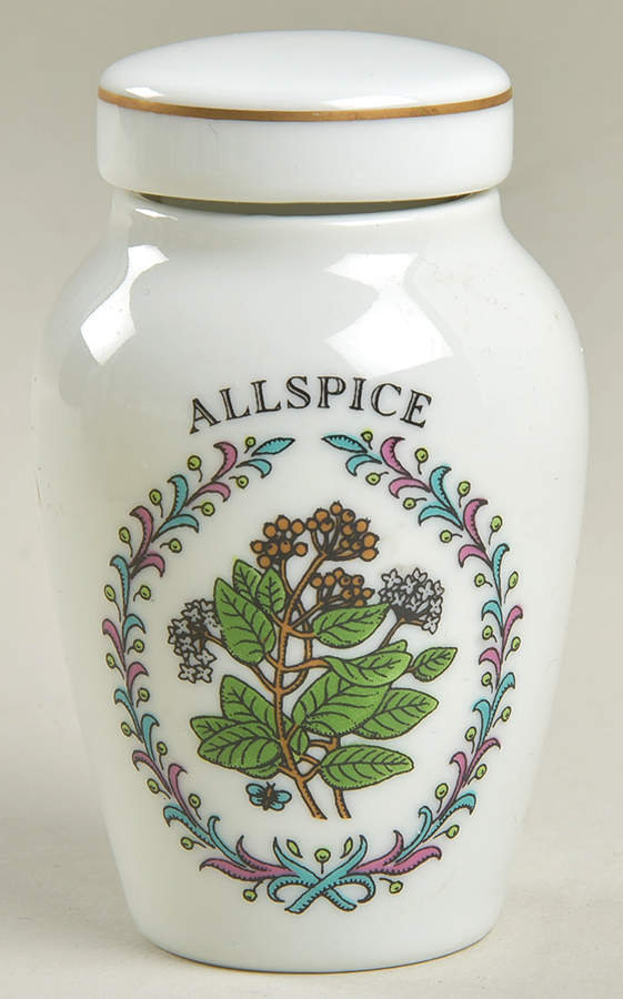 Gloria Vanderbilt Spice Jars Allspice - Spice Jar Set-Ind Jar-Motif 3 by Franklin Mint-1