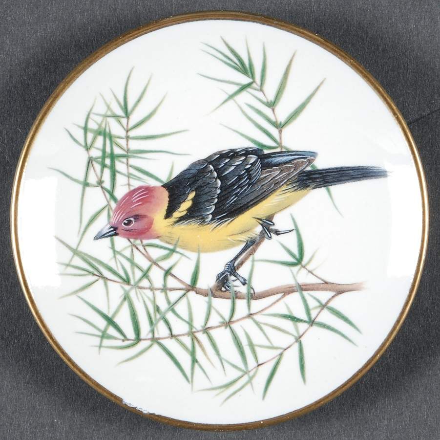 Songbirds of The World Western Tanager - Boxed by Franklin Mint-1