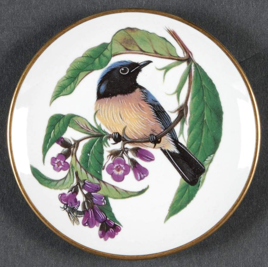 Songbirds of The World Rufous Bellied Niltava - Boxed by Franklin Mint-1