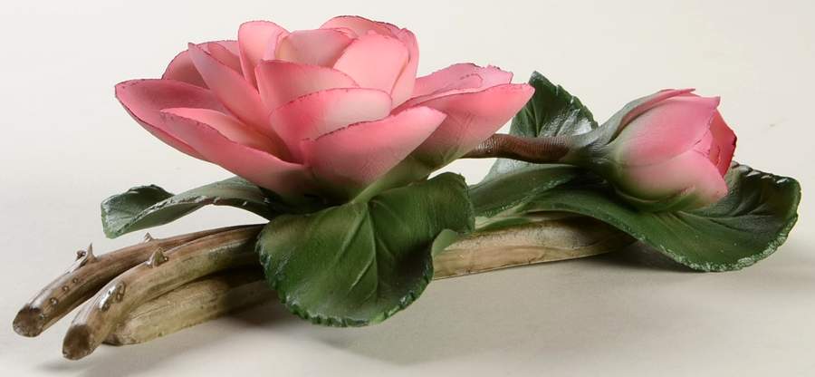 The Twelve Months of Roses Mme. Pierre Oger - No Box by Franklin Mint-1