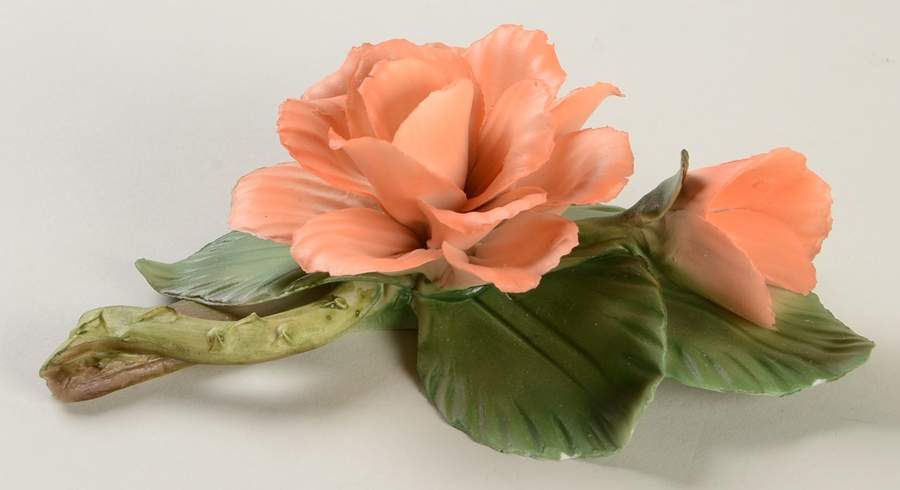 The Twelve Months of Roses Buff Beauty - No Box by Franklin Mint-1