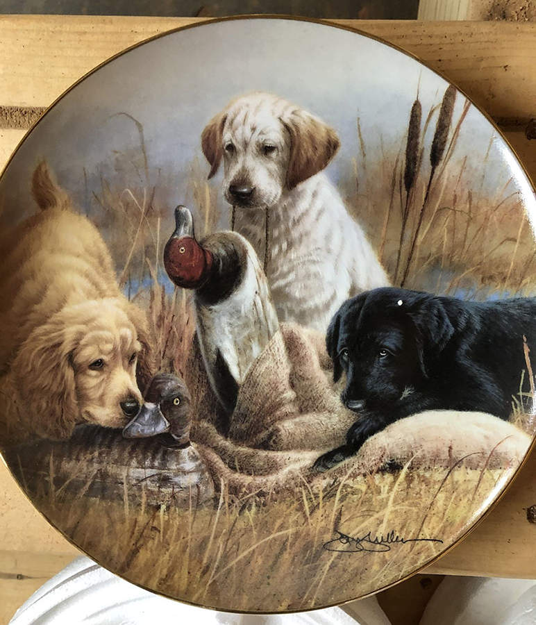 Sporting Dogs-James Killen Field Trip - No Box by Franklin Mint-1