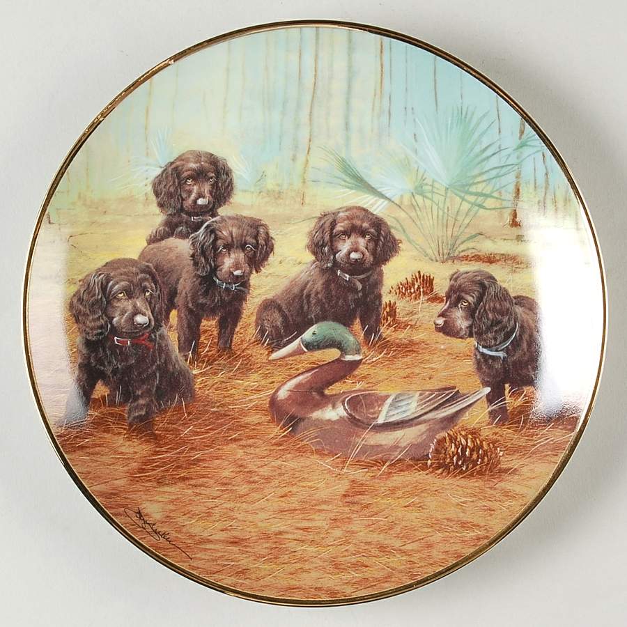 Sporting Dogs-James Killen Team Practice - No Box by Franklin Mint-1