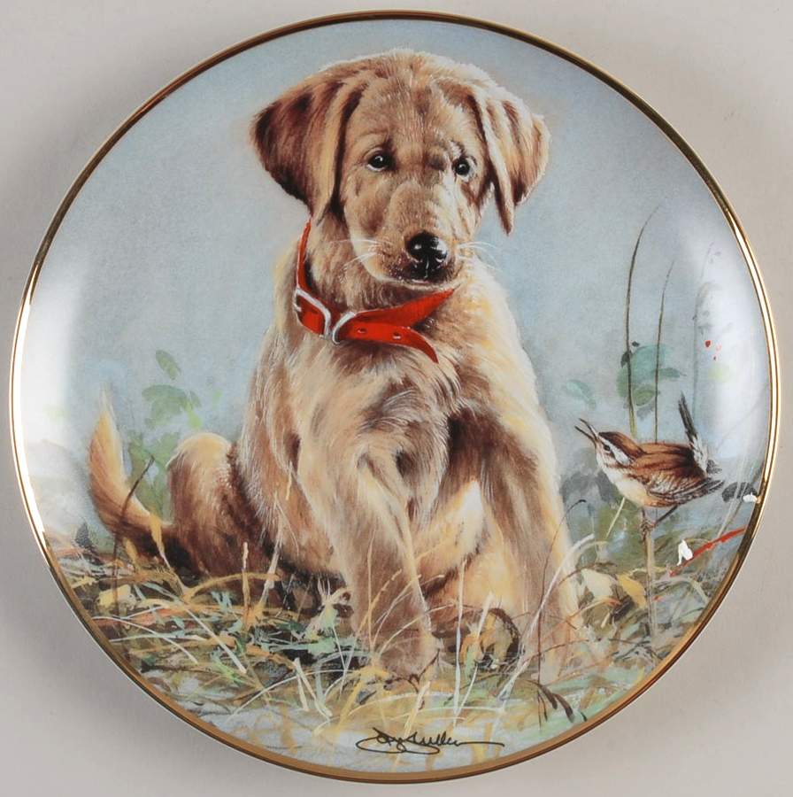 Sporting Dogs-James Killen Eye To Eye - No Box by Franklin Mint-1