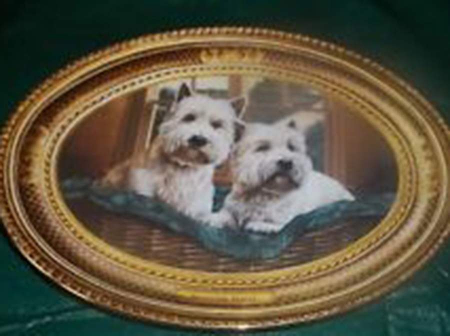 West Highland White Terrier Morning Mates - No Box by Franklin Mint-1