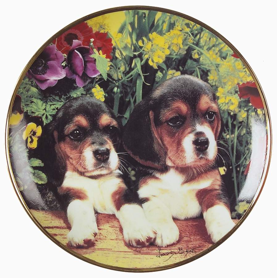 Beagles-Larry Grant Puppies & Posies - No Box by Franklin Mint-1