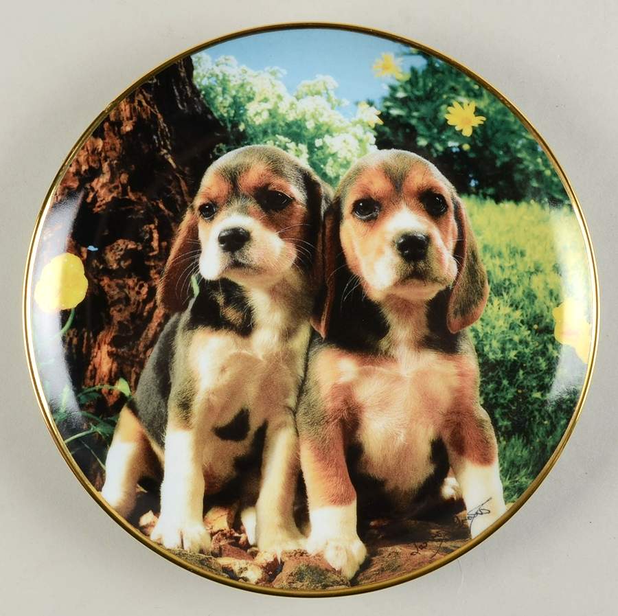 Beagles-Larry Grant Beagels & Buttercups - No Box by Franklin Mint-1