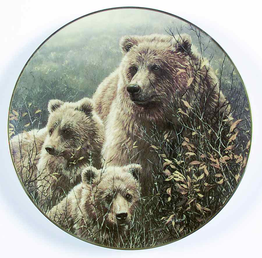Bear Tracks Denali Family - No Box by WS George-1