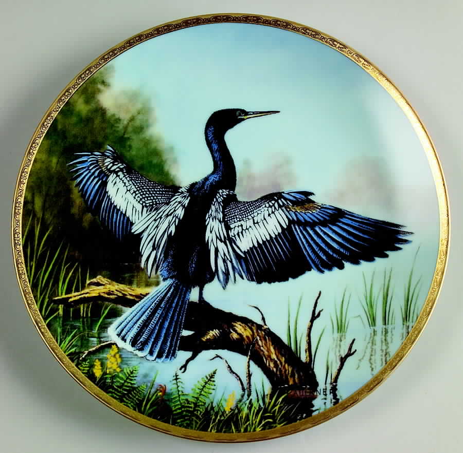 Elegant Birds The Anhinga - Boxed by WS George-1