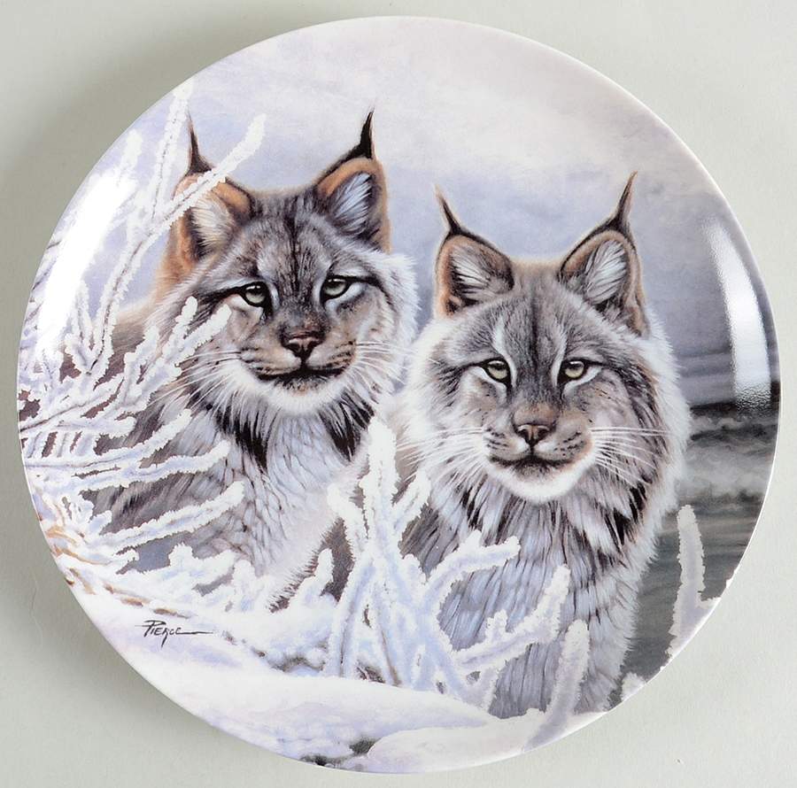 Eyes of The Wild Eyes In The Snow - No Box by WS George-1