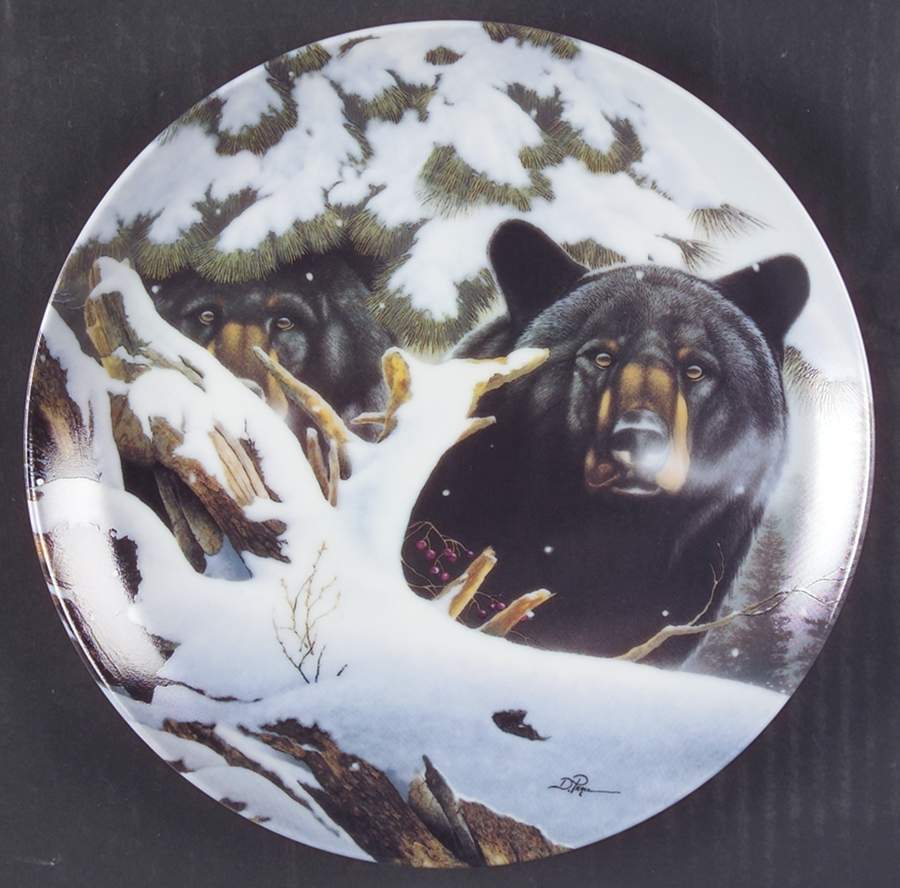 Eyes of The Wild Eyes In The Pines - No Box by WS George-1