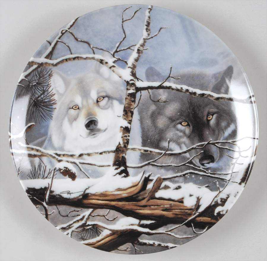 Eyes of The Wild Eyes In The Mist - No Box by WS George-1