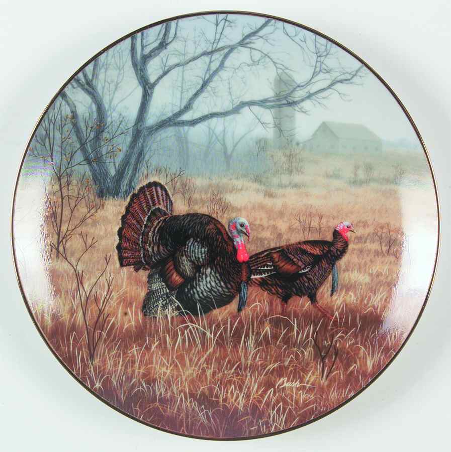 Field Birds of North America Misty Clearing-Wild Turkey - Boxed by WS George-1