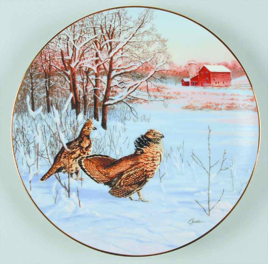 Field Birds of North America In Display-Ruffed Goose - Boxed by WS George-1