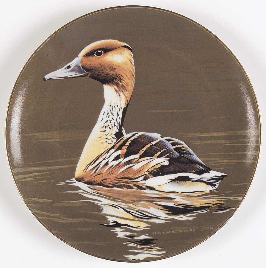 Federal Duck Stamp Fulvous Whistling Duck - Boxed by WS George-1