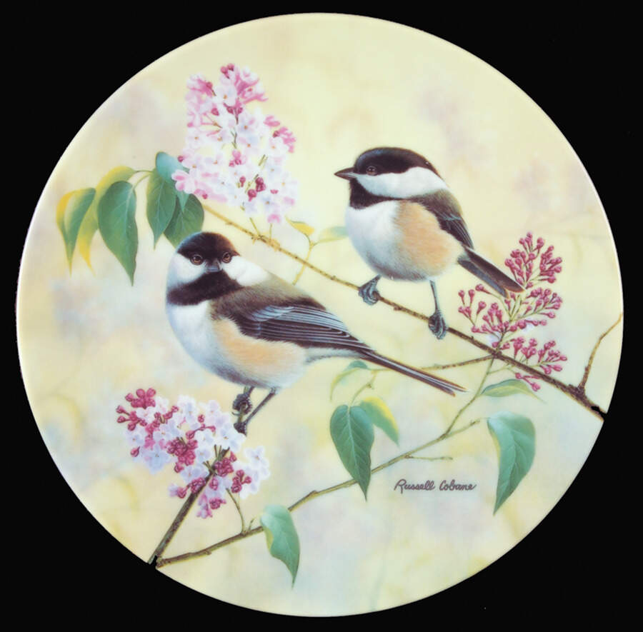 Glorious Songbirds Chickadees Among The Lilacs - No Box by WS George-1