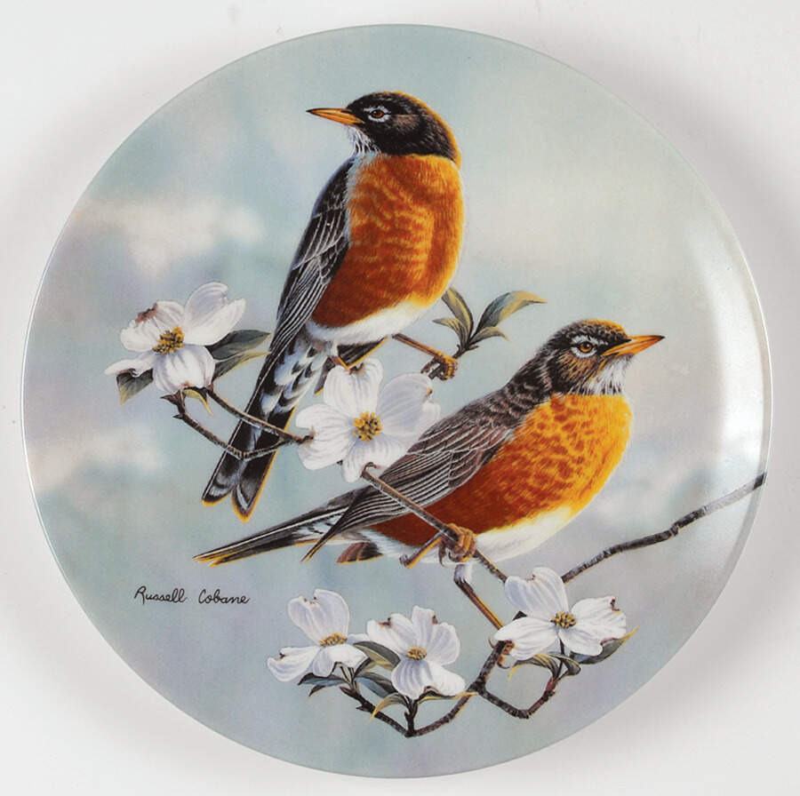 Glorious Songbirds Robins With Dogwood In Bloom - Boxed by WS George-1