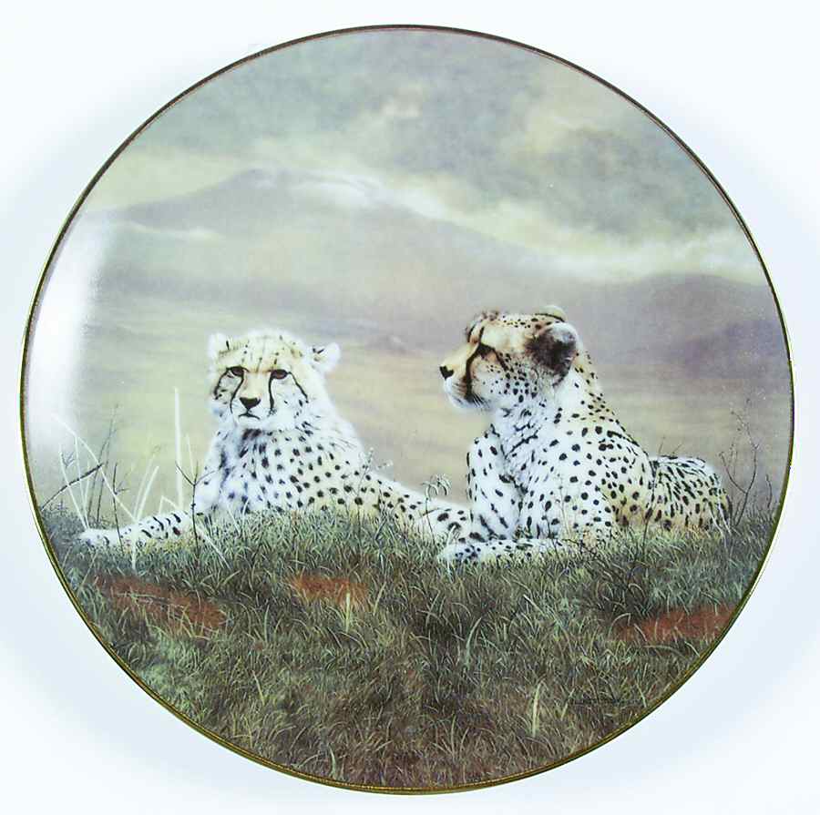 Grand Safari:Images of Africa A Moment's Rest - No Box by WS George-1