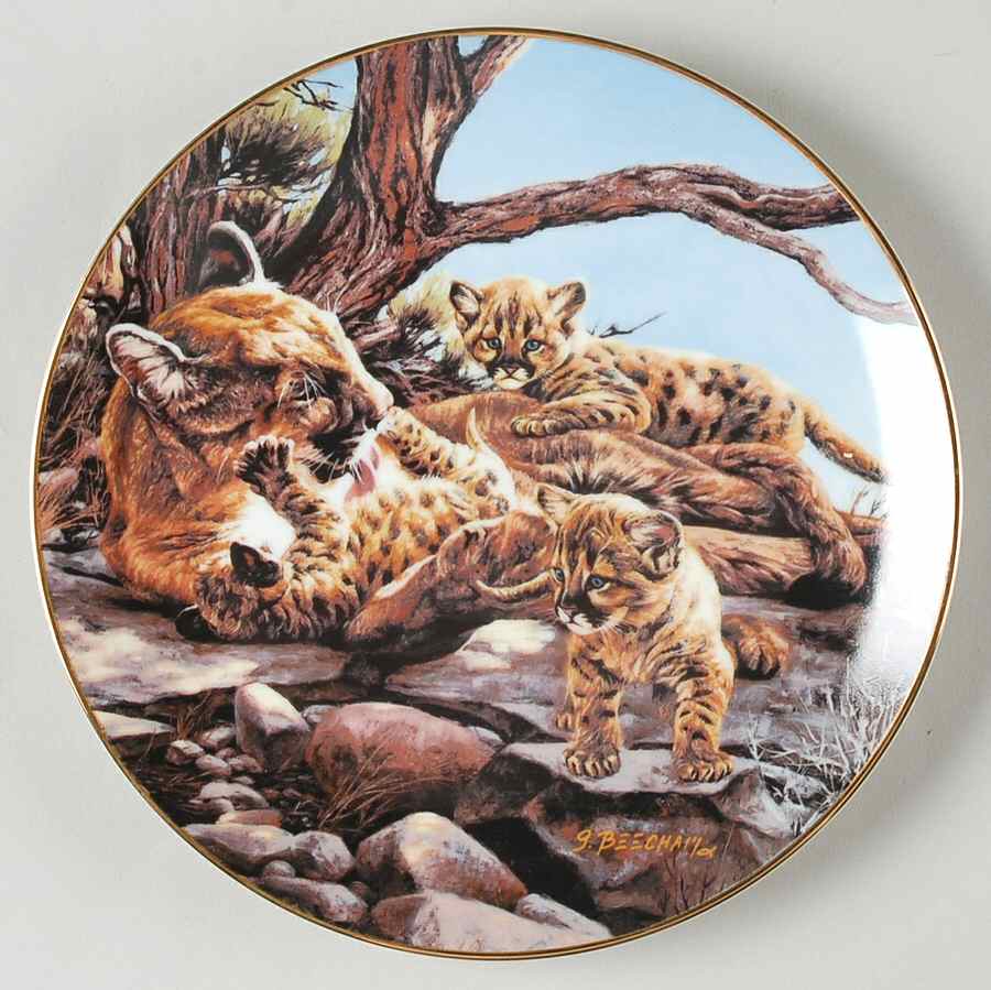 Heart of The Wild A Gentle Touch - No Box by WS George-1