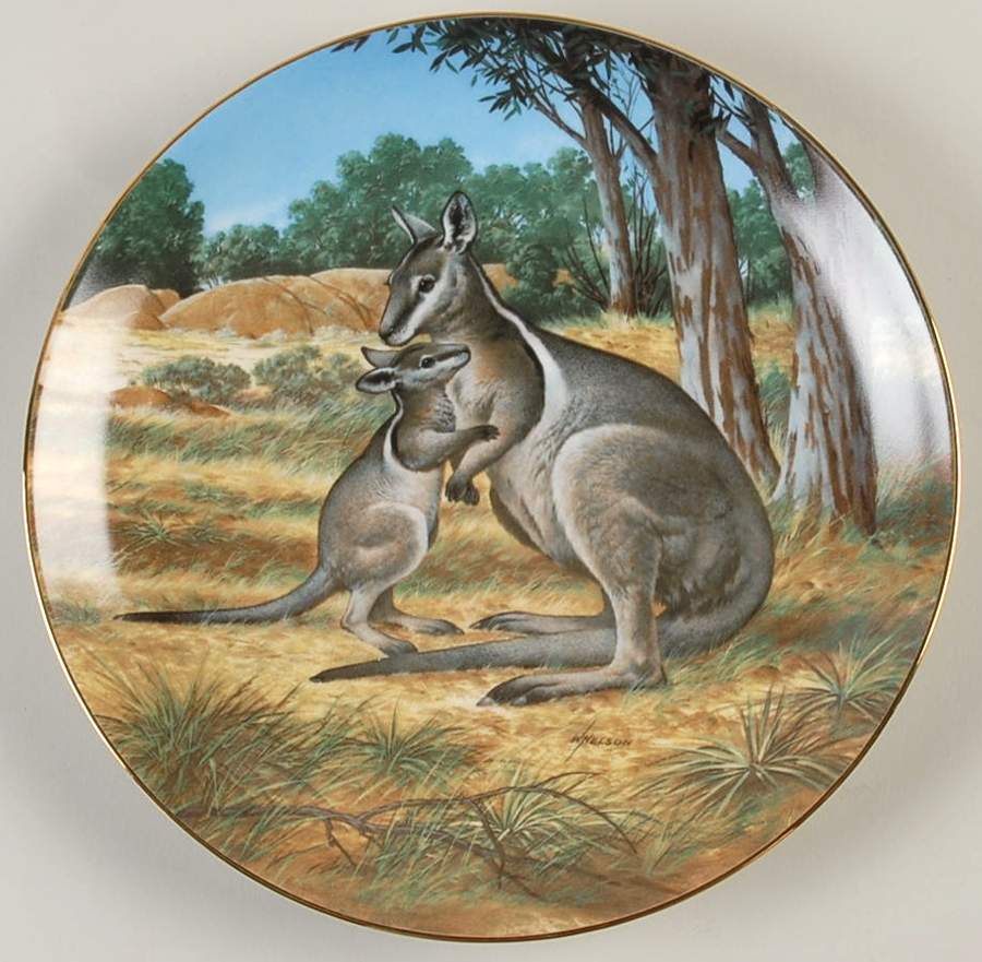 Last of Their Kind; Endangered Species Bridled Wallaby - Boxed by WS George-1