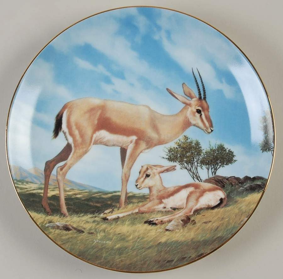 Last of Their Kind; Endangered Species Slender-Horned Gazalle - No Box by WS George-1