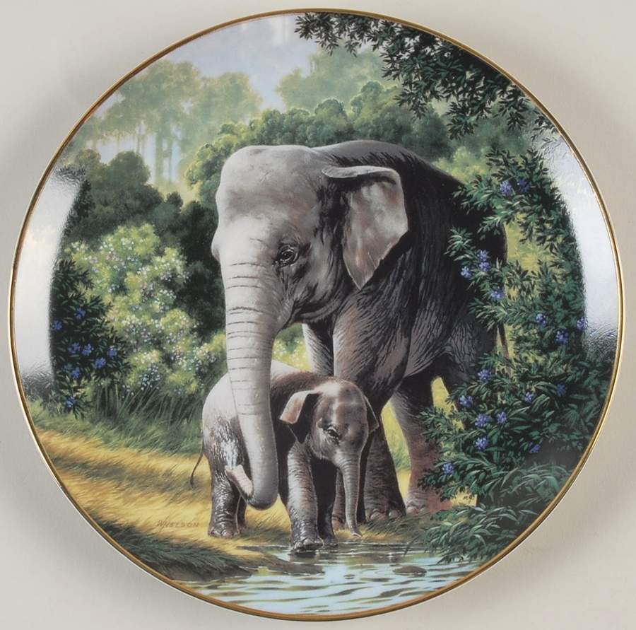 Last of Their Kind; Endangered Species Asian Elephant - Boxed by WS George-1