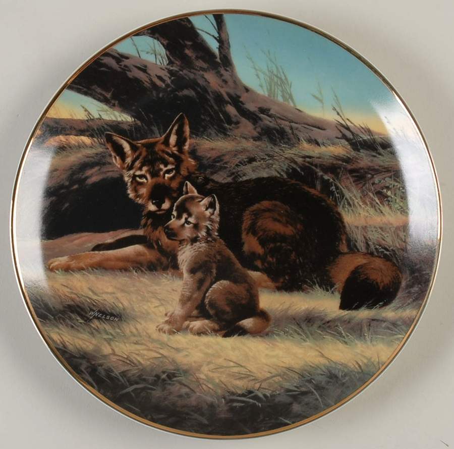 Last of Their Kind; Endangered Species Red Wolf - Boxed by WS George-1
