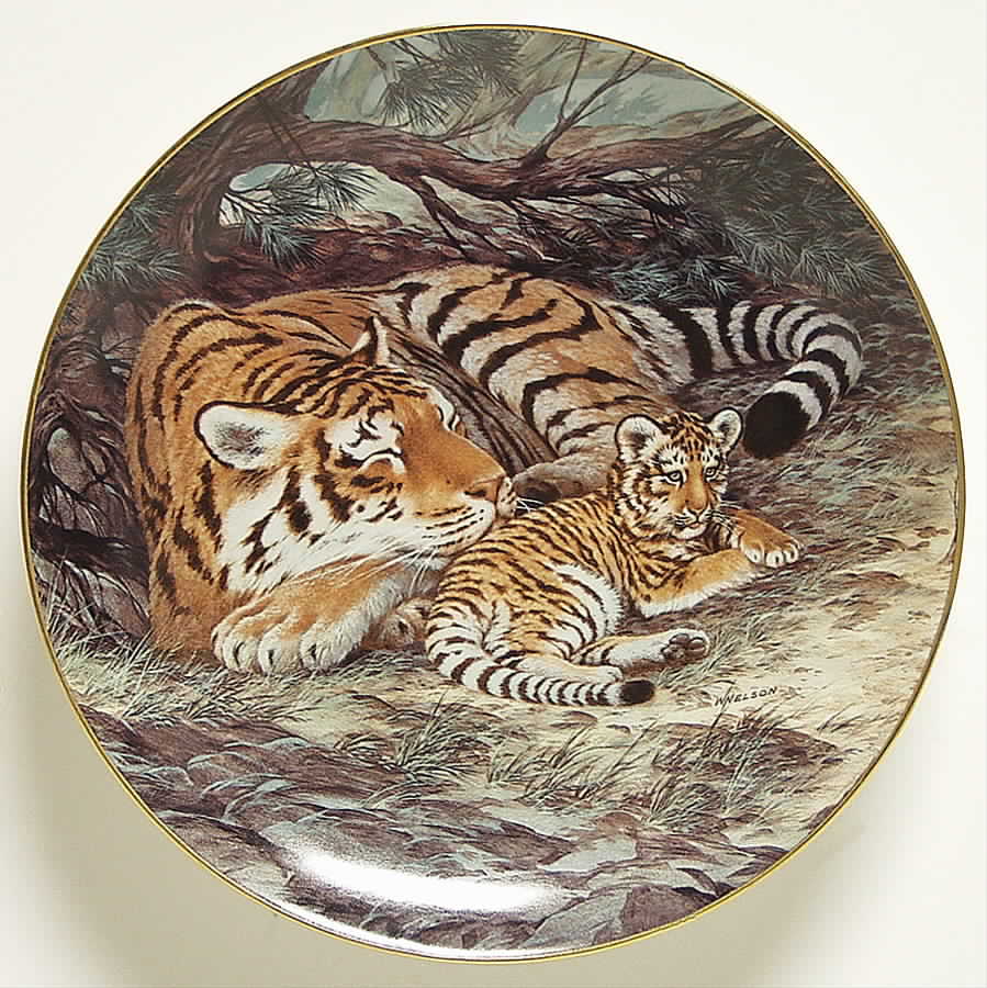 Last of Their Kind; Endangered Species Siberian Tiger - Boxed by WS George-1