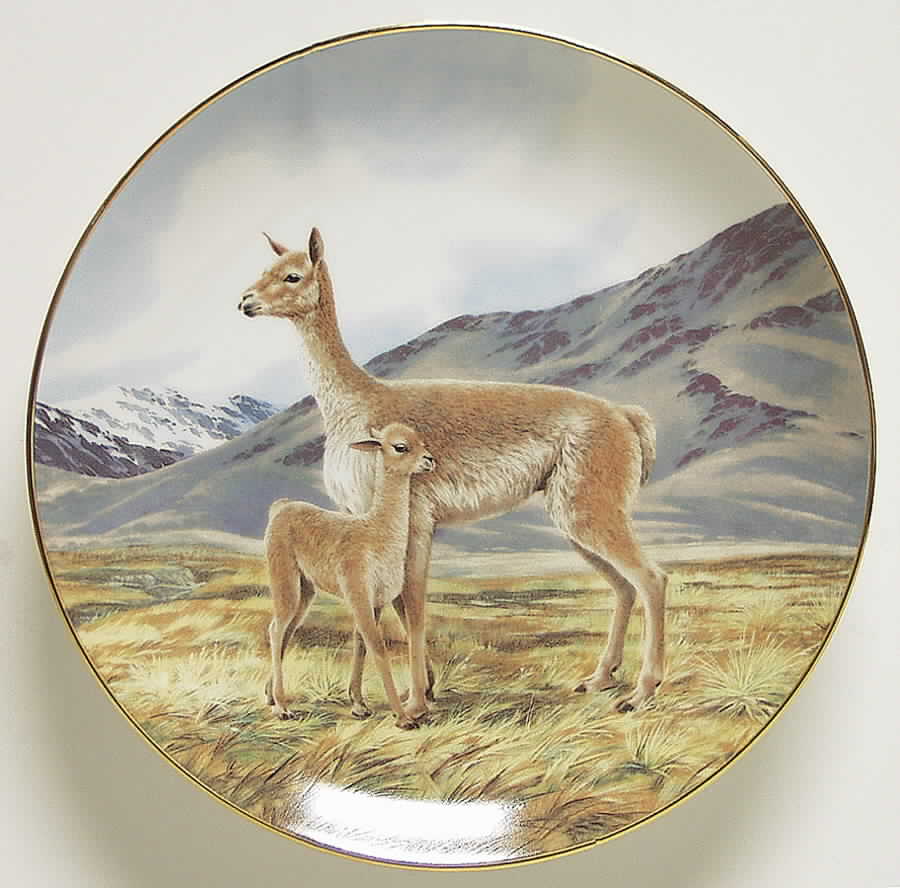 Last of Their Kind; Endangered Species Vicuna - Boxed by WS George-1
