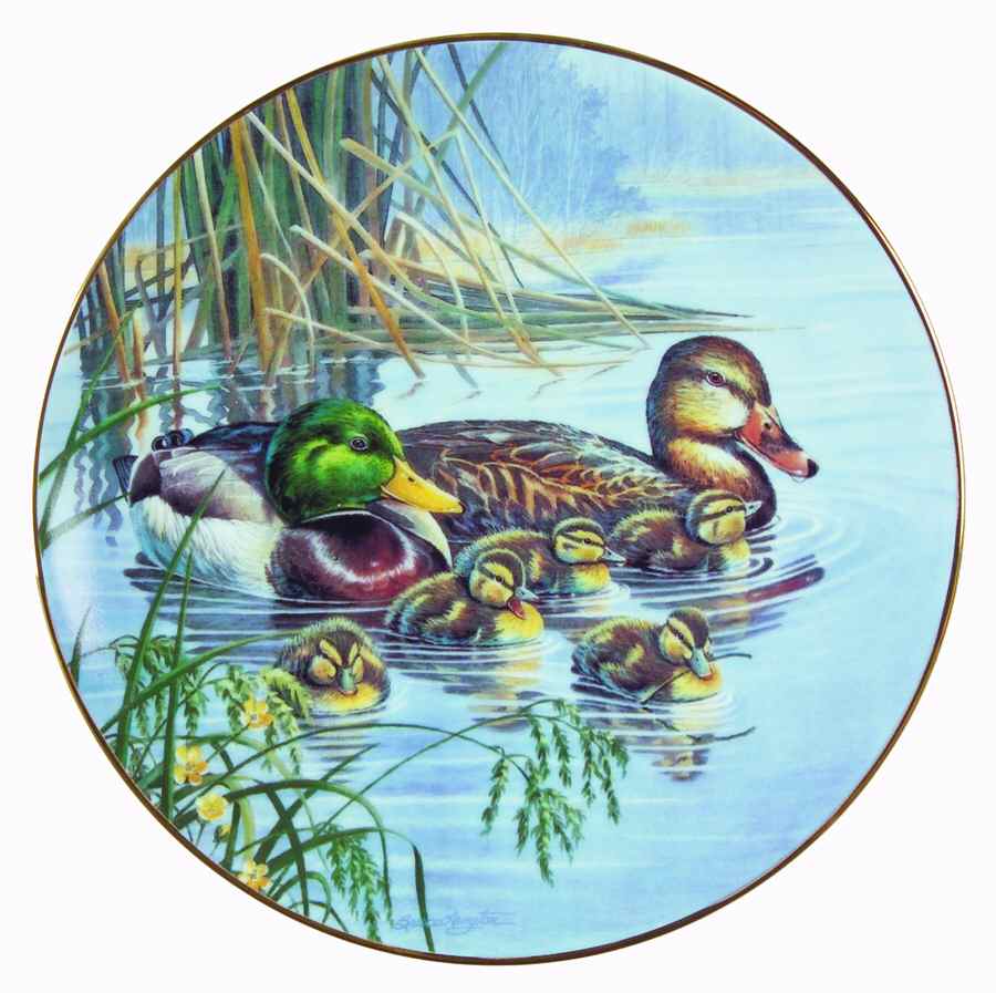 Loving Look:Duck Families Family Outing - No Box by WS George-1
