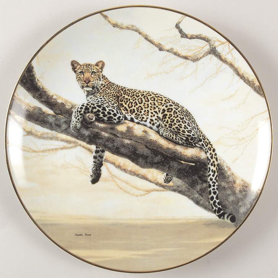 Worlds Most Magnificent Cats The Africian Leopard - No Box by WS George-1