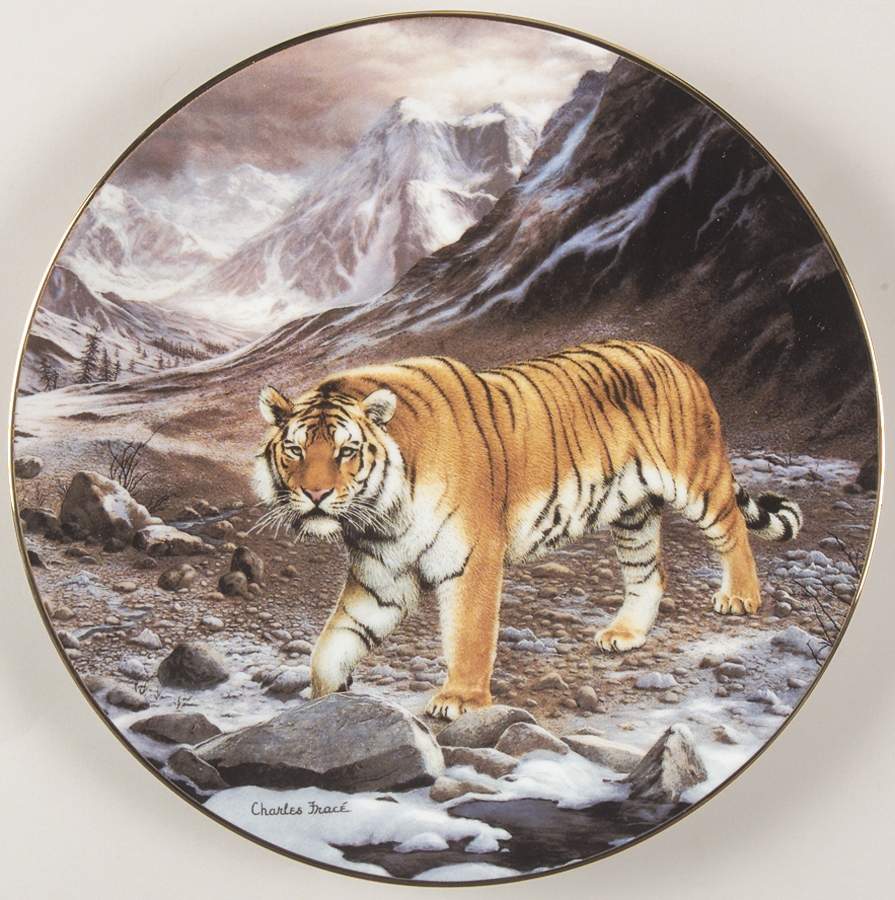 Worlds Most Magnificent Cats Siberian Tiger - Boxed by WS George-1